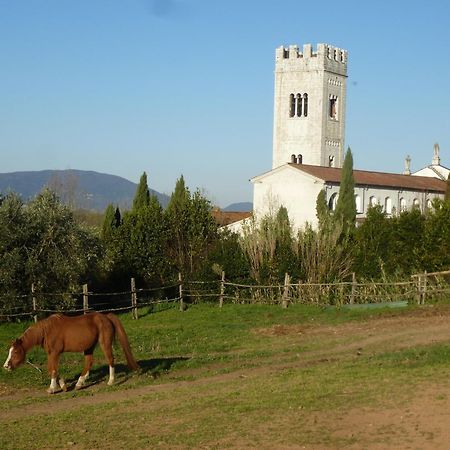 Casa Marce A "Sonno" Bed and Breakfast Porcari Εξωτερικό φωτογραφία